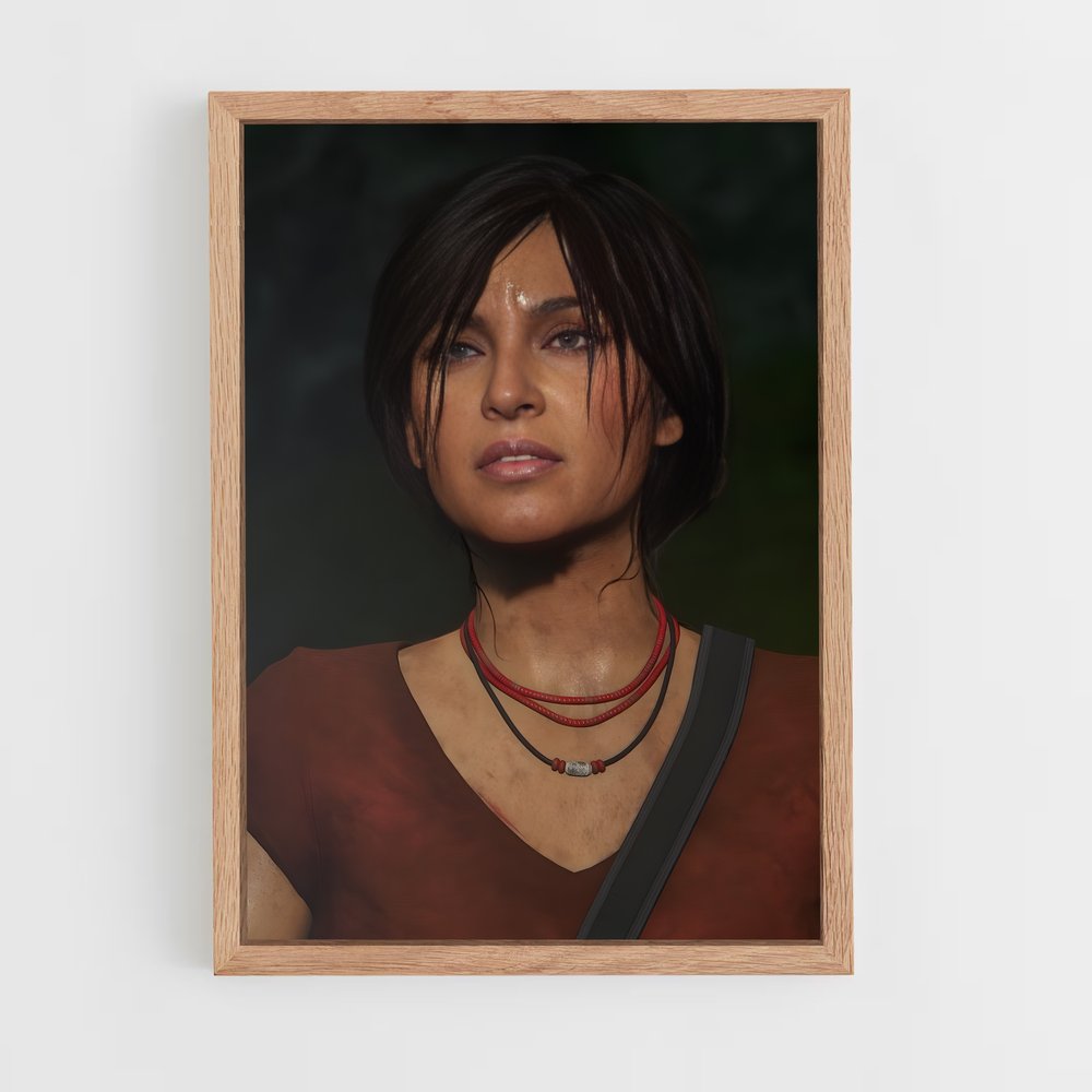Poster L'Aventure Éblouissante – affiche Uncharted (vue 4)